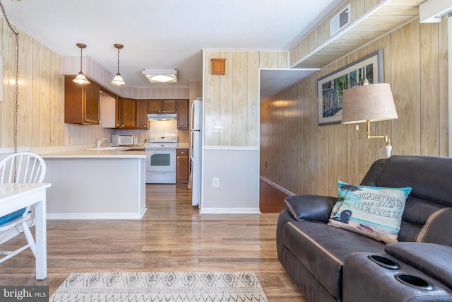 living room with light hardwood / wood-style flooring, sink, and wooden walls