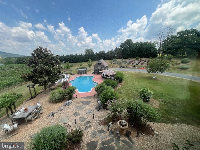 view of pool with a storage unit, a yard, and a patio