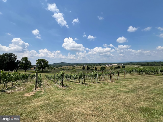 view of yard with a rural view