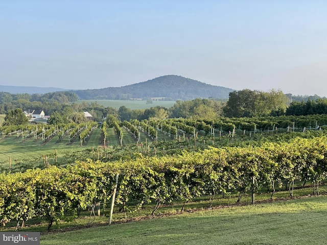 property view of mountains with a rural view