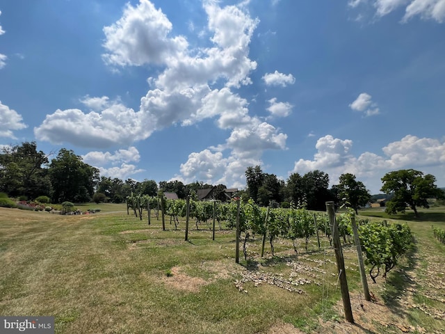 view of yard featuring a rural view