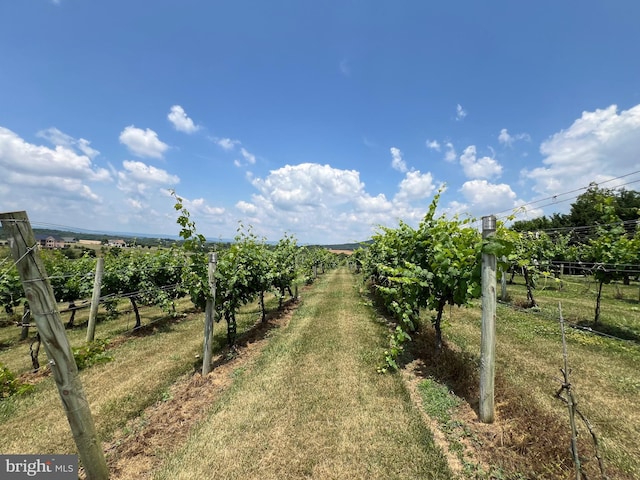 view of yard with a rural view and fence