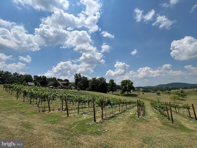 view of yard featuring a rural view