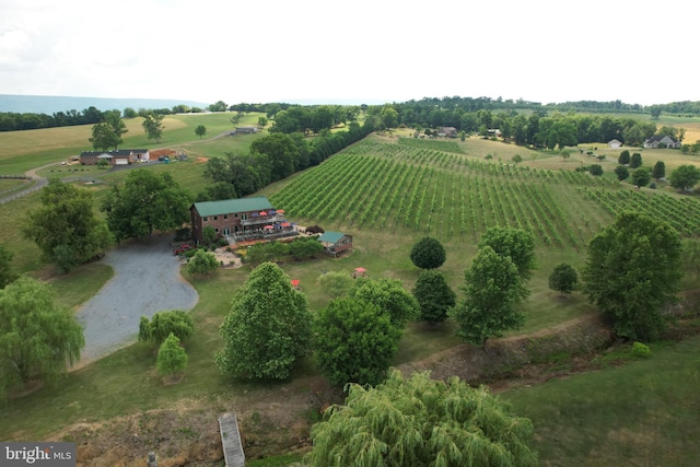 birds eye view of property with a rural view