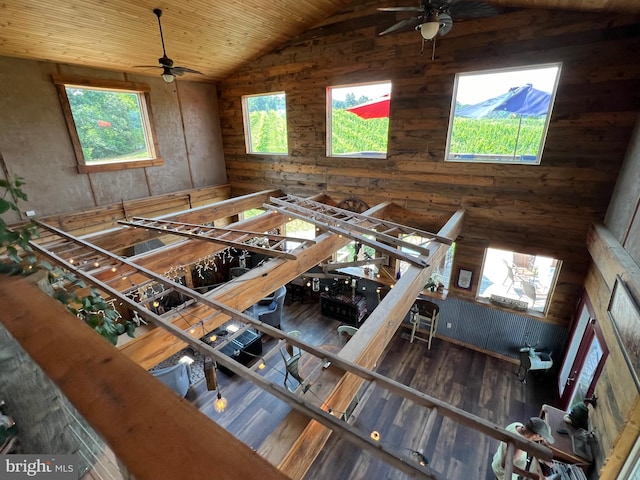 living room with high vaulted ceiling, wood ceiling, dark hardwood / wood-style floors, and ceiling fan