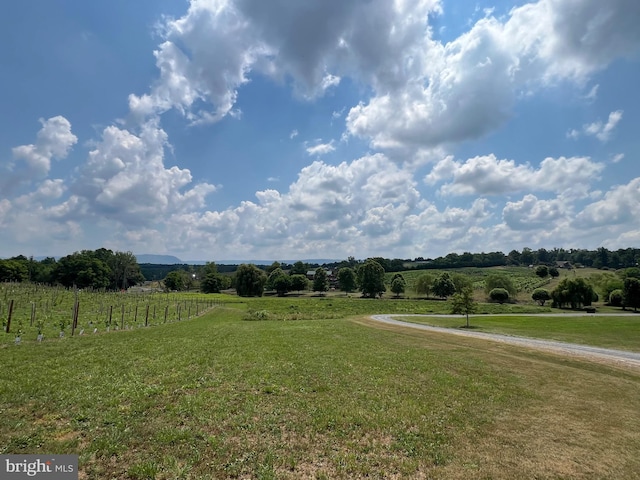 view of yard featuring a rural view