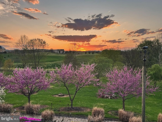 view of home's community featuring a yard and a rural view