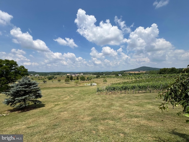 view of yard with a rural view