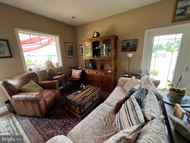 living room featuring a wealth of natural light