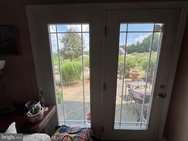 entryway featuring a wealth of natural light