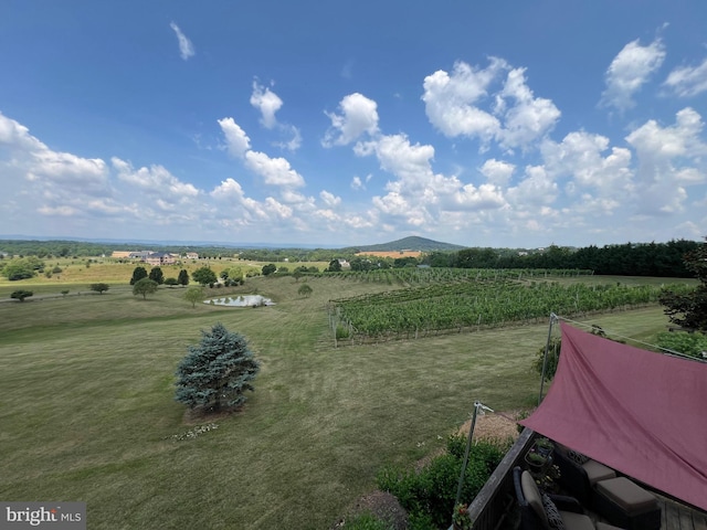 bird's eye view featuring a rural view