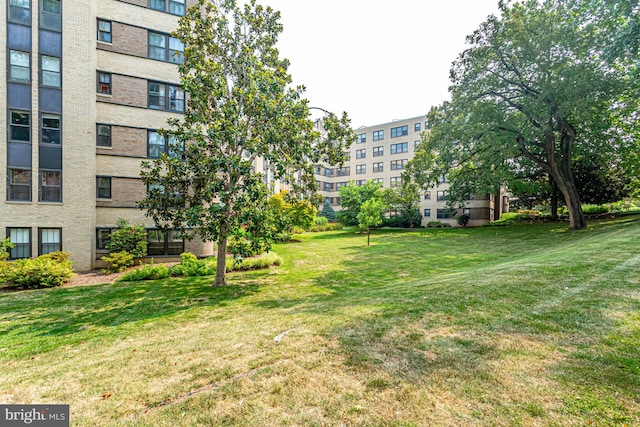 view of community with a lawn