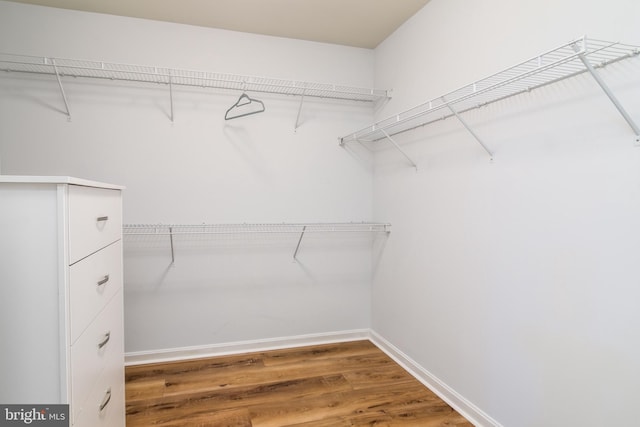 walk in closet featuring wood finished floors