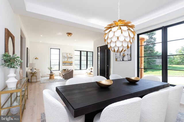 dining area with plenty of natural light and light hardwood / wood-style flooring