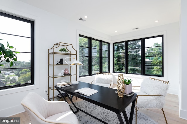 office featuring light hardwood / wood-style flooring