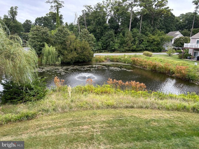 property view of water