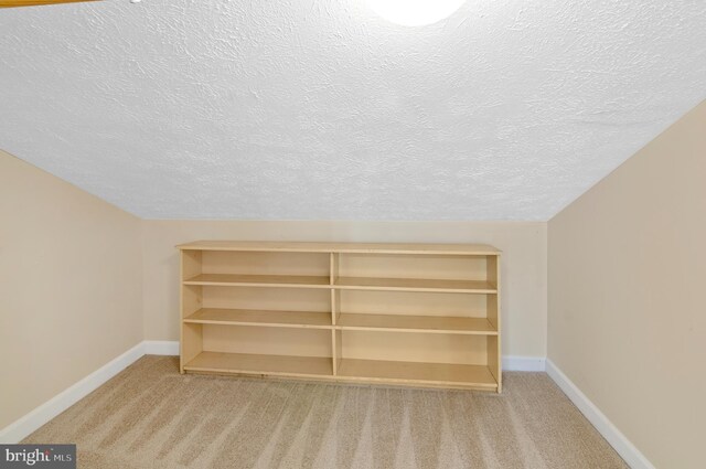 additional living space with a textured ceiling and light carpet