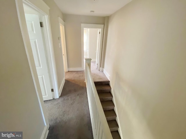 hallway with carpet flooring