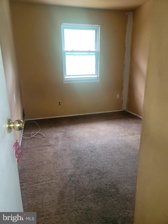 unfurnished room featuring carpet flooring