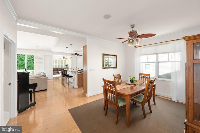 dining room featuring ceiling fan, ornamental molding, and light wood-type flooring