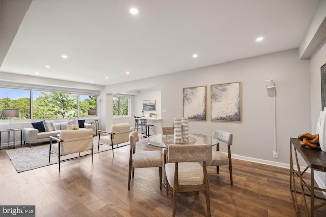 dining space with dark hardwood / wood-style floors