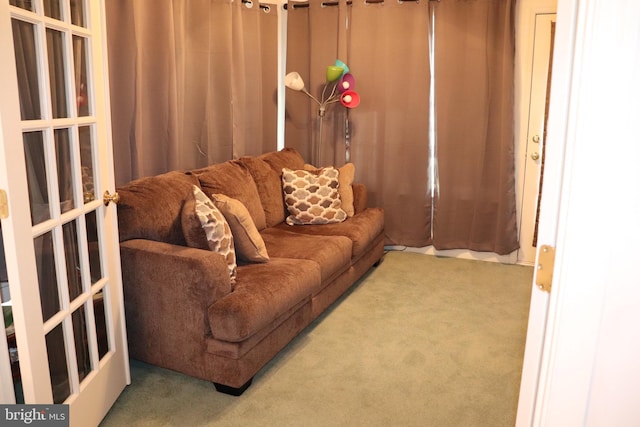 living area featuring carpet floors