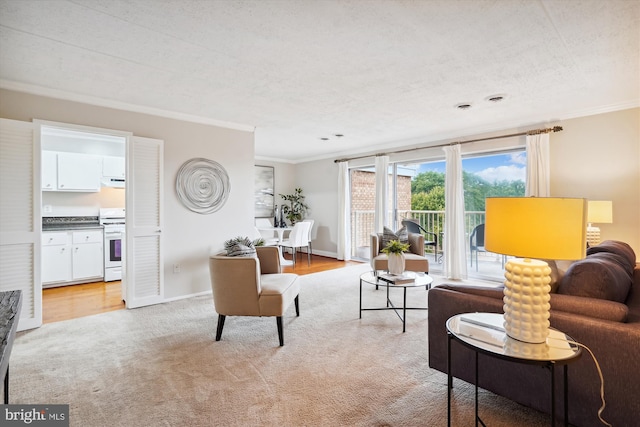 living room with light hardwood / wood-style flooring, a textured ceiling, and ornamental molding