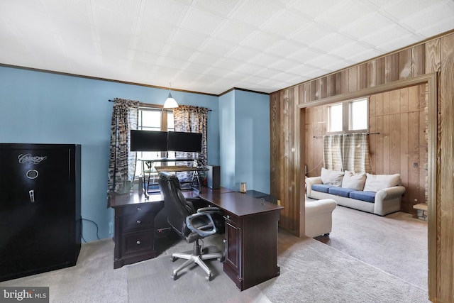 carpeted office space with crown molding, a wealth of natural light, and wooden walls