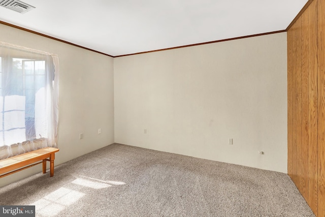 empty room featuring carpet flooring, wooden walls, and a healthy amount of sunlight