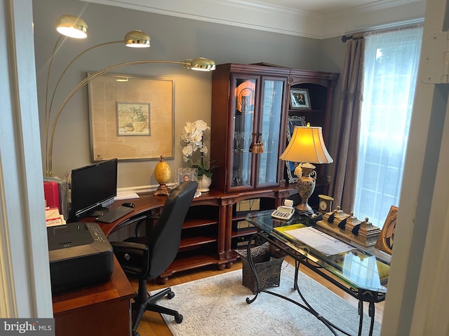 office space with wood finished floors and ornamental molding