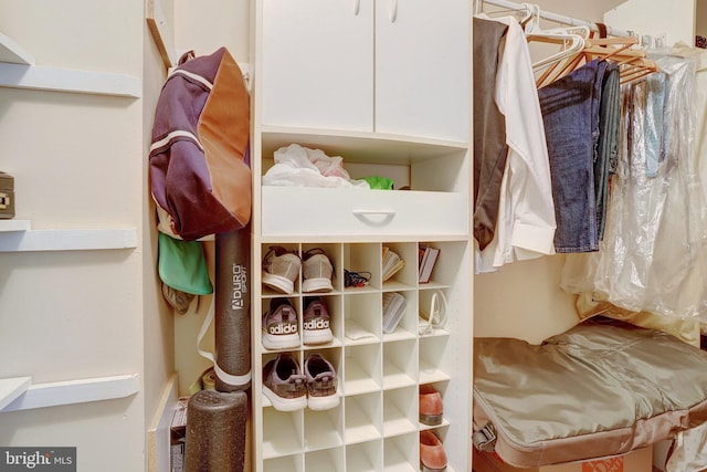 view of walk in closet