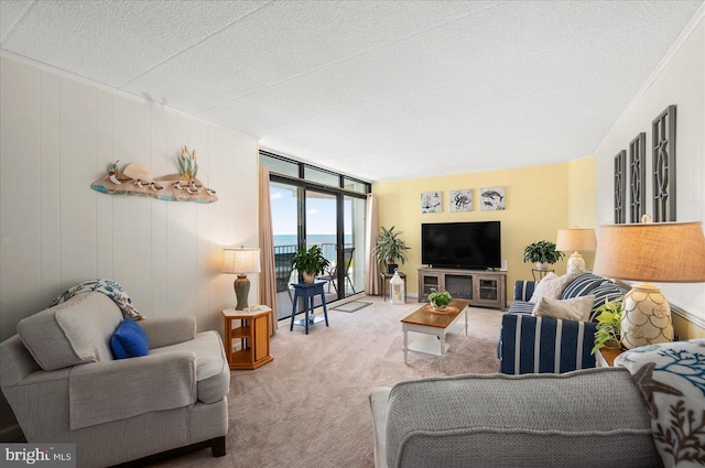 carpeted living room with a textured ceiling