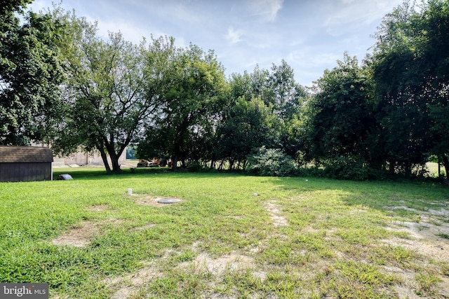 view of yard featuring an outdoor structure and a shed