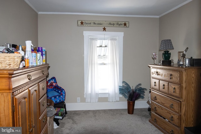 miscellaneous room featuring crown molding and carpet flooring