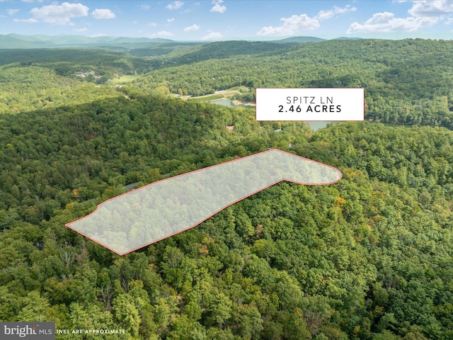 TBD Spitz Lane, Basye VA, 22810 land for sale