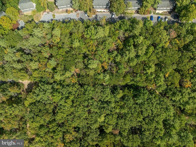TBD Spitz Lane, Basye, VA 22810