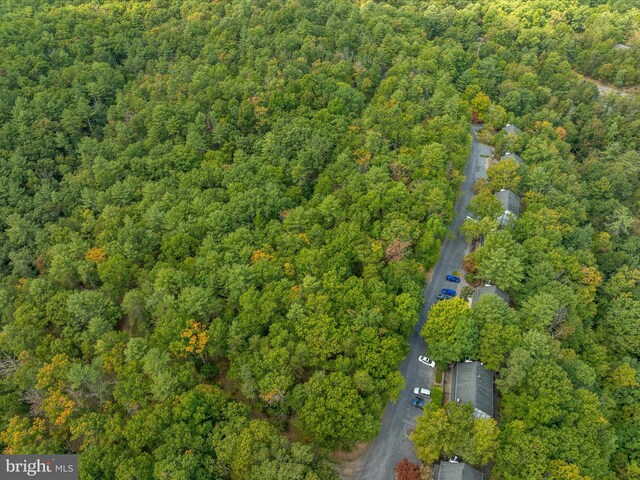 TBD Spitz Lane, Basye, VA 22810