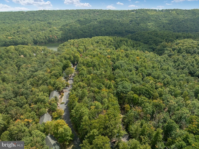 TBD Spitz Lane, Basye, VA 22810