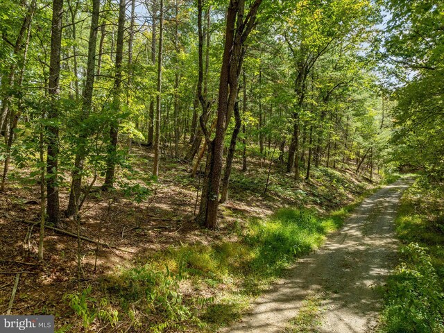 TBD Spitz Lane, Basye, VA 22810