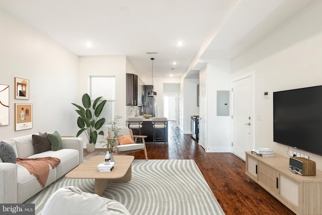 living room with electric panel and dark hardwood / wood-style flooring