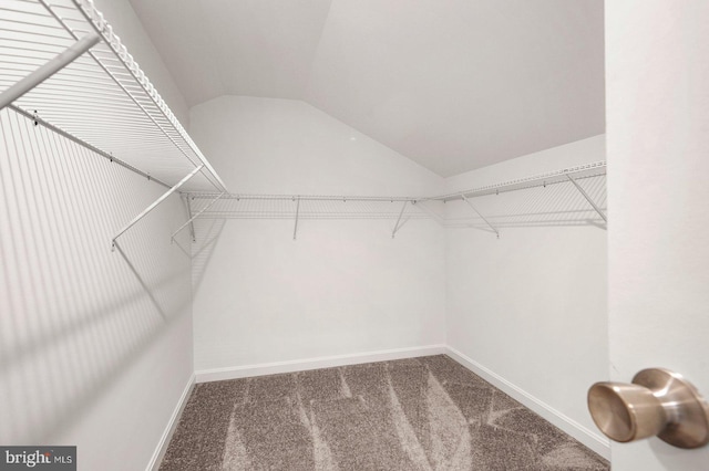 spacious closet with lofted ceiling and carpet