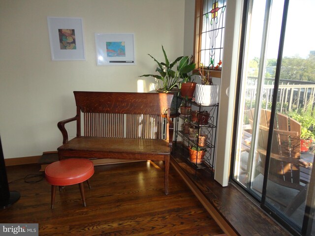 dining room with dark hardwood / wood-style floors