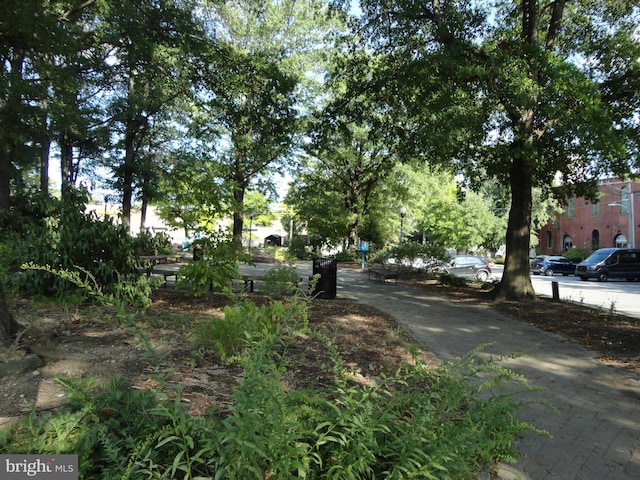 view of road