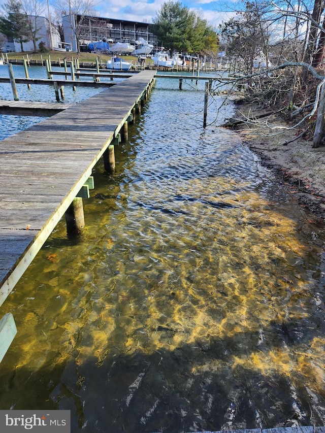 dock area featuring a water view