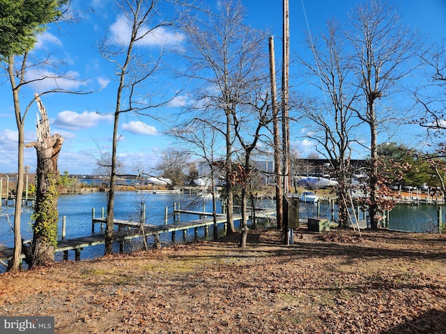 dock area featuring a water view