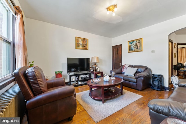 living room featuring radiator, a healthy amount of sunlight, and hardwood / wood-style floors