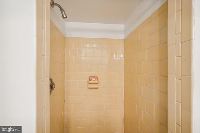 bathroom featuring a tile shower