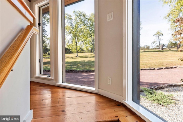 entryway featuring wood-type flooring and plenty of natural light