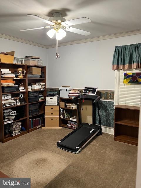 workout room featuring carpet floors, ornamental molding, and ceiling fan