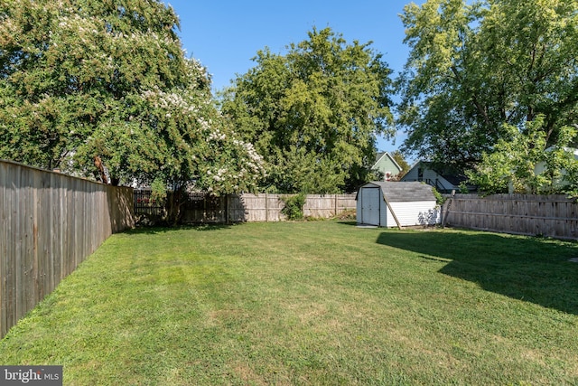 view of yard featuring an outdoor structure, a storage unit, and a fenced backyard